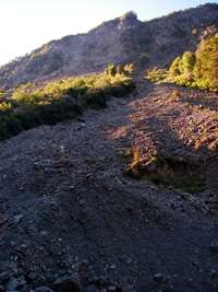 Wangapeka Track