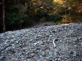 Wangapeka Track