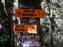 Wangapeka Track