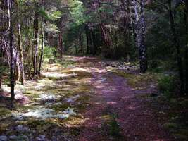 Wangapeka Track