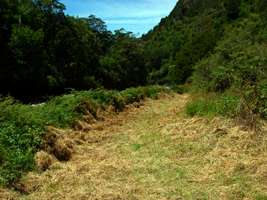 Wangapeka Track