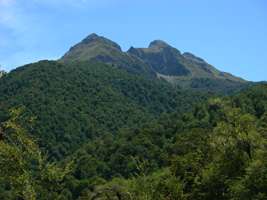 Wangapeka Track