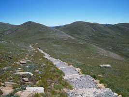 Snowy Mountains