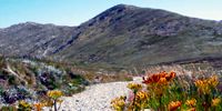 Mt Kosciuszko walk