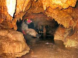 Pestera Coliboaia - Coliboaia Cave Rock Art