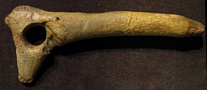 baton perce