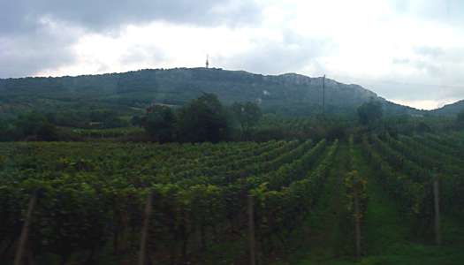 Dolni Vestonice hills