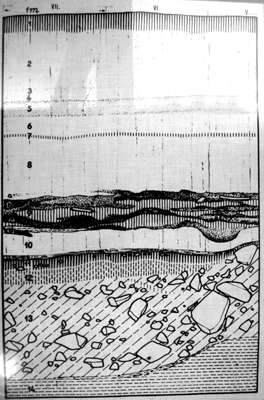 pavlov dig profile