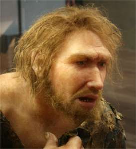 neandertal