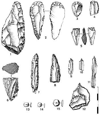 Krasnii lithics