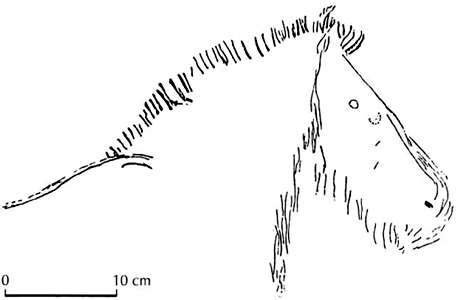 Grotte de Rouffignac