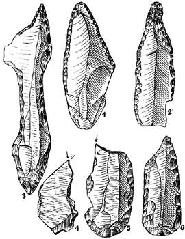 Cellier fig 2