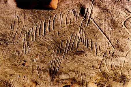 Grotte de Rouffignac