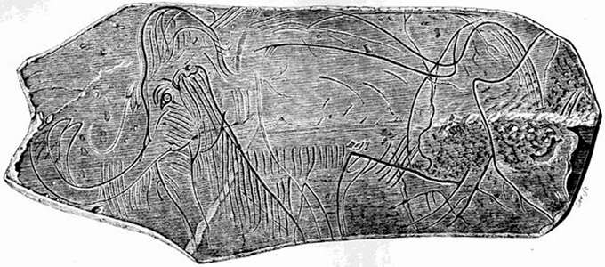 mammoth engraving