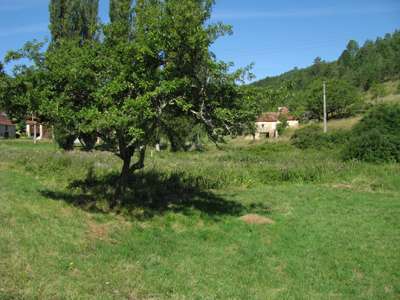 Willow Pool