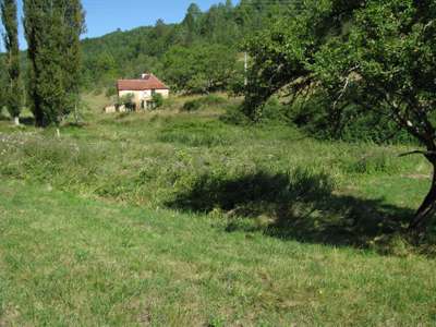 Willow Pool