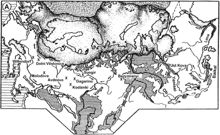 Ice map maximum