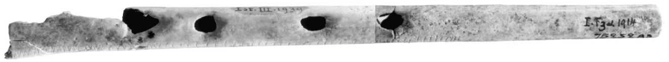 complete flute