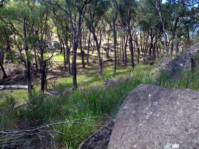 Mount Yarrowyck