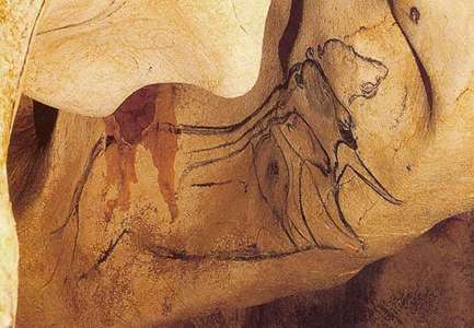 Cave Lions image