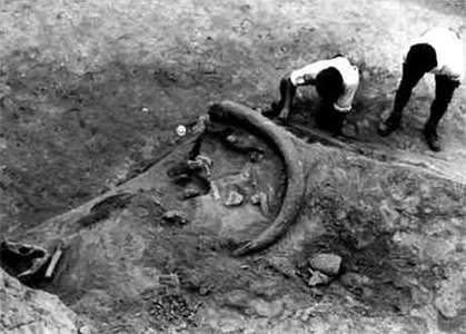 Krems-Wachtberg mammoth site