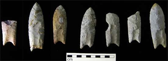 Clovis Points