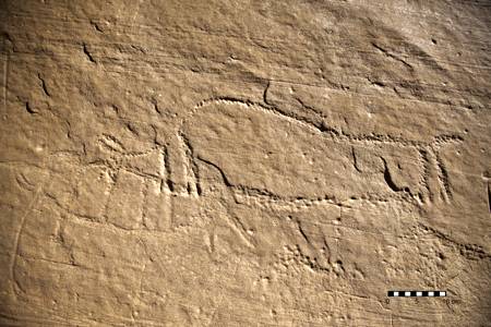Columbian Mammoth and Bison rock engravings