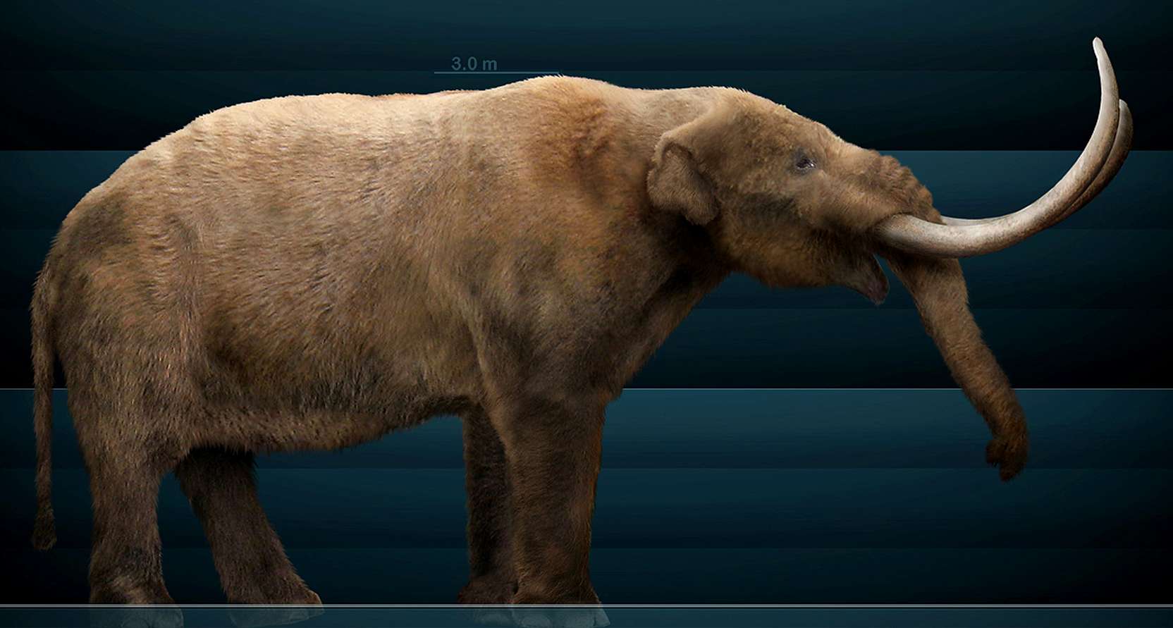 The Deinotherium was an extinct mammal that lived during the Miocene era  and is related to