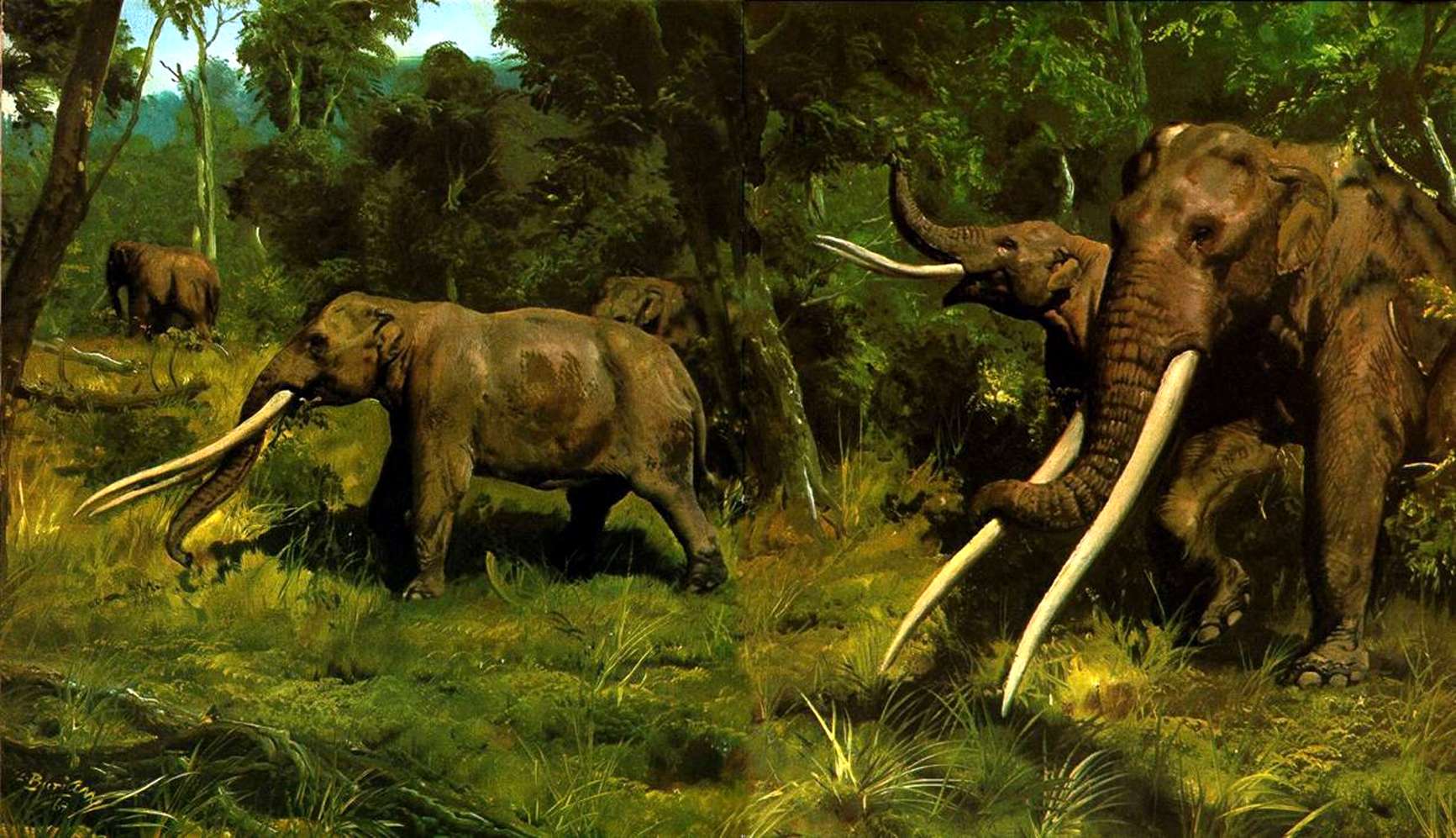 Mastodon Habitat