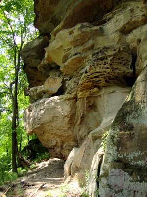 Meadowcroft Rockshelter