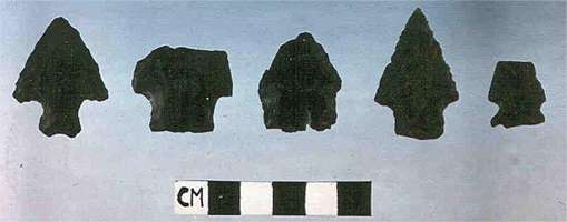 meadowcroft archaic points