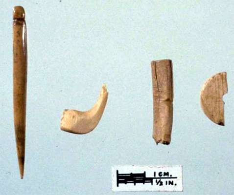 meadowcroft bone fragments