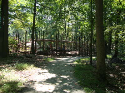 Meadowcroft Rockshelter