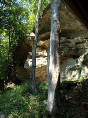 Meadowcroft Rockshelter