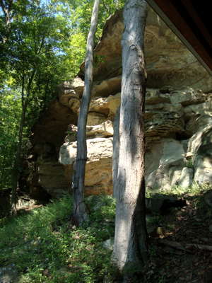 Meadowcroft Rockshelter