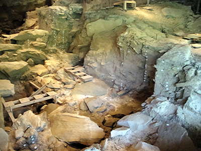 Meadowcroft Rockshelter