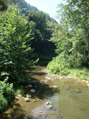 Meadowcroft Rockshelter