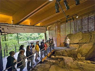 Meadowcroft Rockshelter