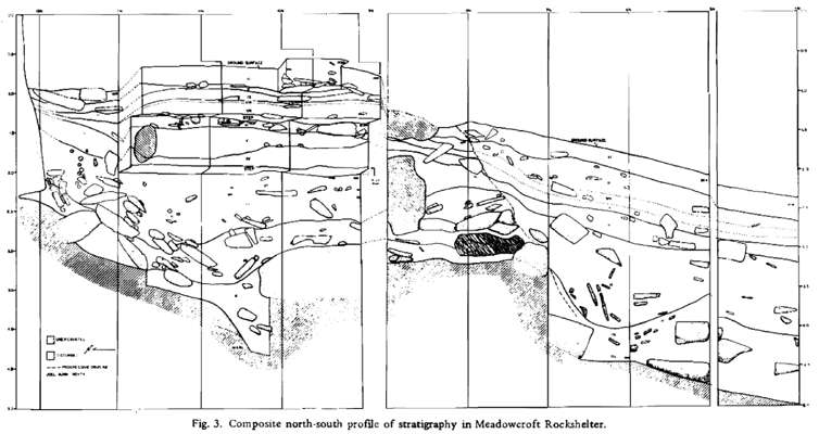 Meadowcroft Rockshelter