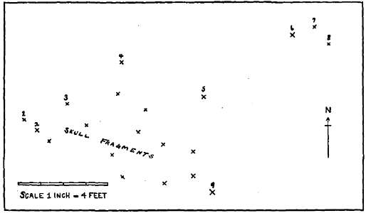 vero ground plan