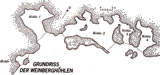 weinberghol plan 