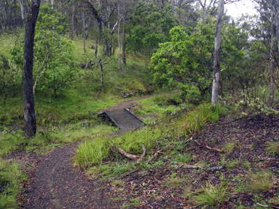 Chandler river