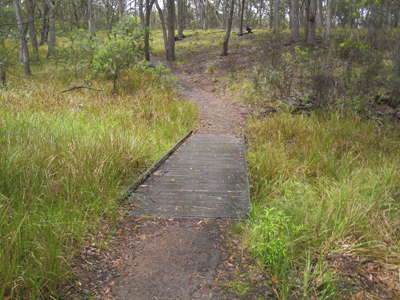 Chandler river