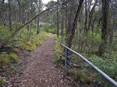 Chandler river