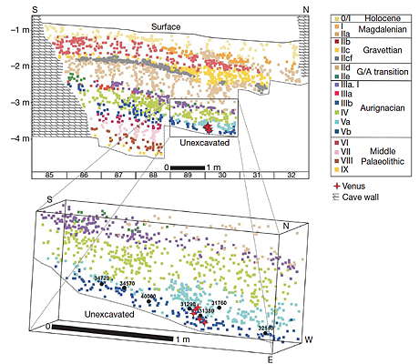 hohle fels venus cross section