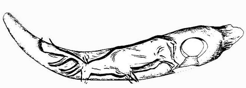 deer engraving baton drawing