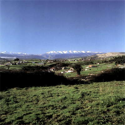Altamira View