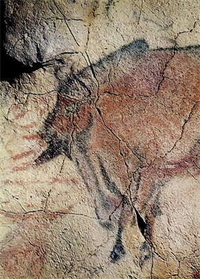 Altamira Bison