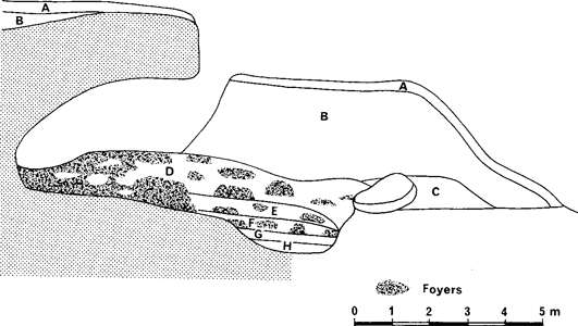 Brassempouy cross section