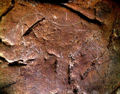 Cueva del Buxu horse